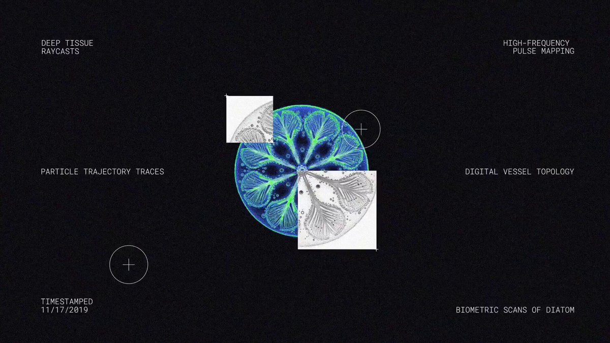 Polsia launch video cover